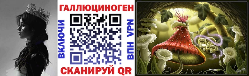 Псилоцибиновые грибы GOLDEN TEACHER  Новороссийск 